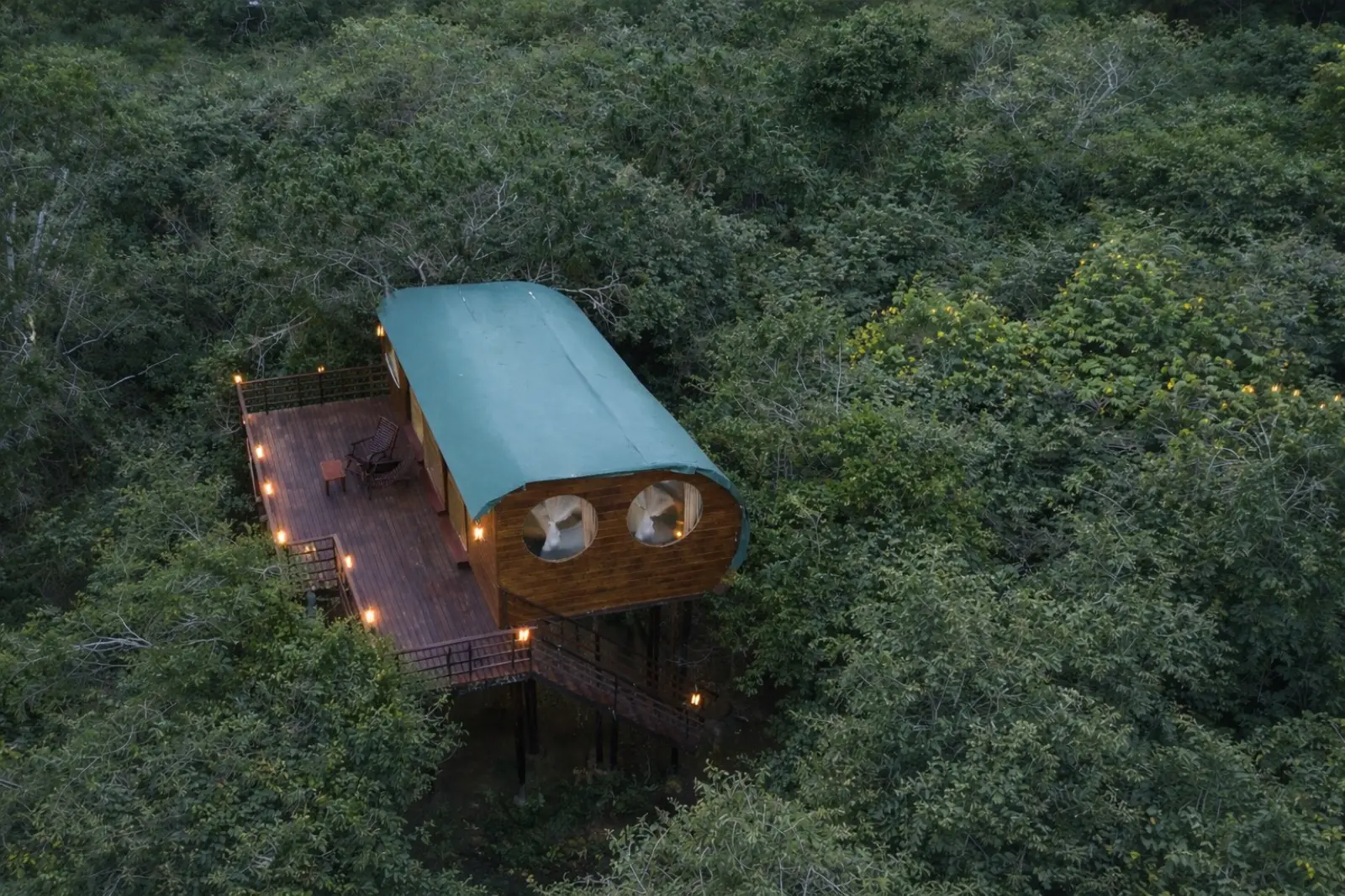 Leopard Nest PVT LTD